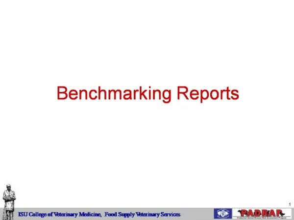 Benchmarking Reports