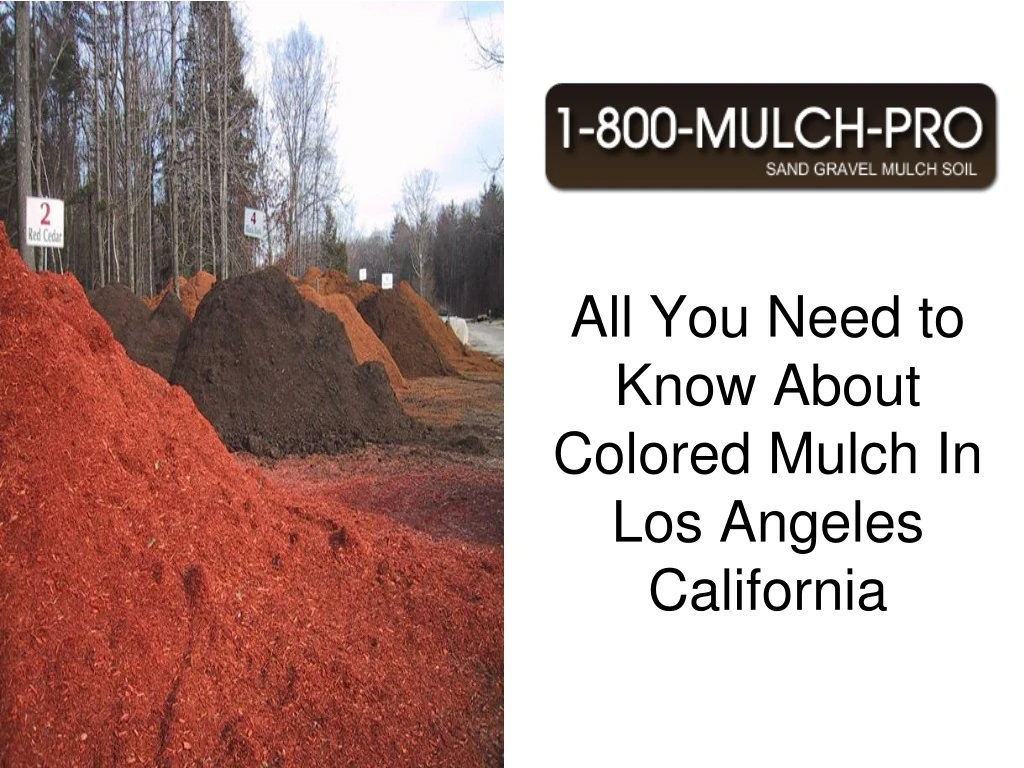 all you need to know about colored mulch in los angeles california