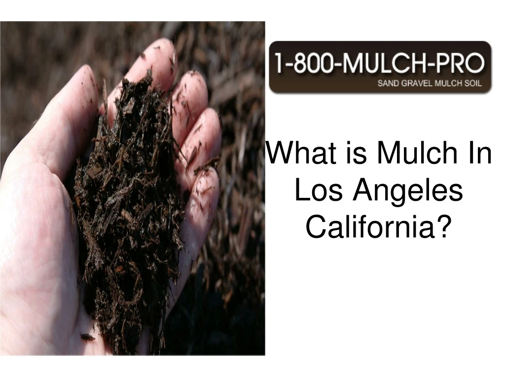 what is mulch in los angeles california