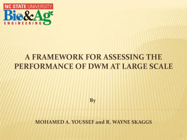 A Framework for assessing the performance of DWM at large Scale