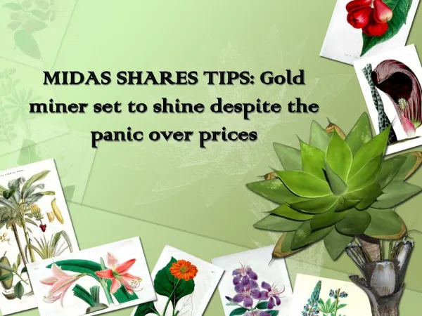 MIDAS SHARES TIPS: Gold miner set to shine despite the panic
