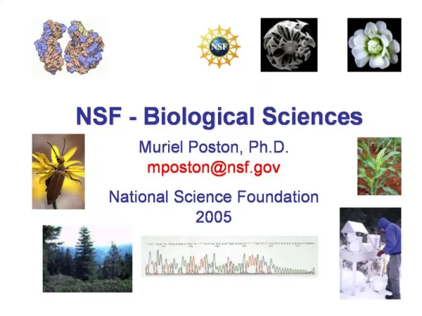 NSF - Biological Sciences