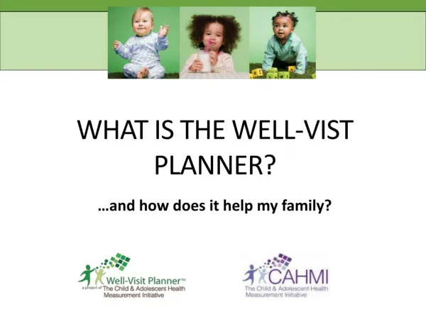 WHAT IS THE Well-VIST PLANNER?