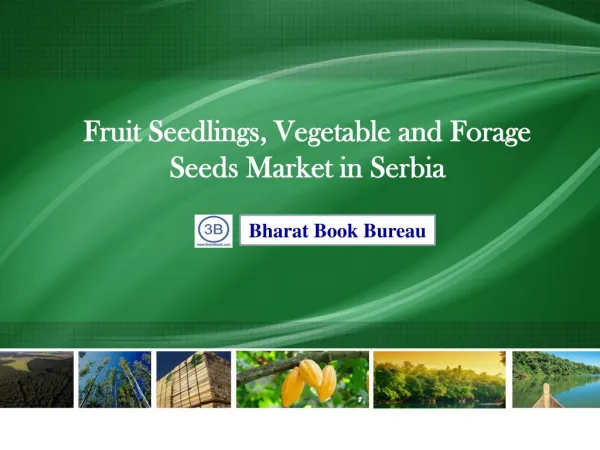 agriculture products, fruits seeds, vegetable seeds, forage