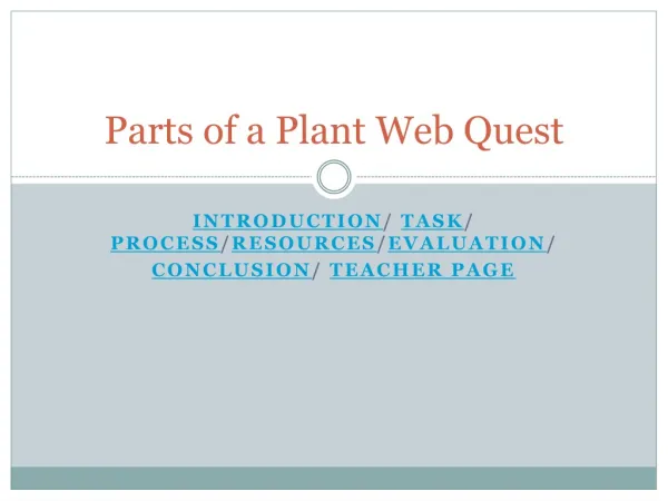 Parts of a Plant Web Quest