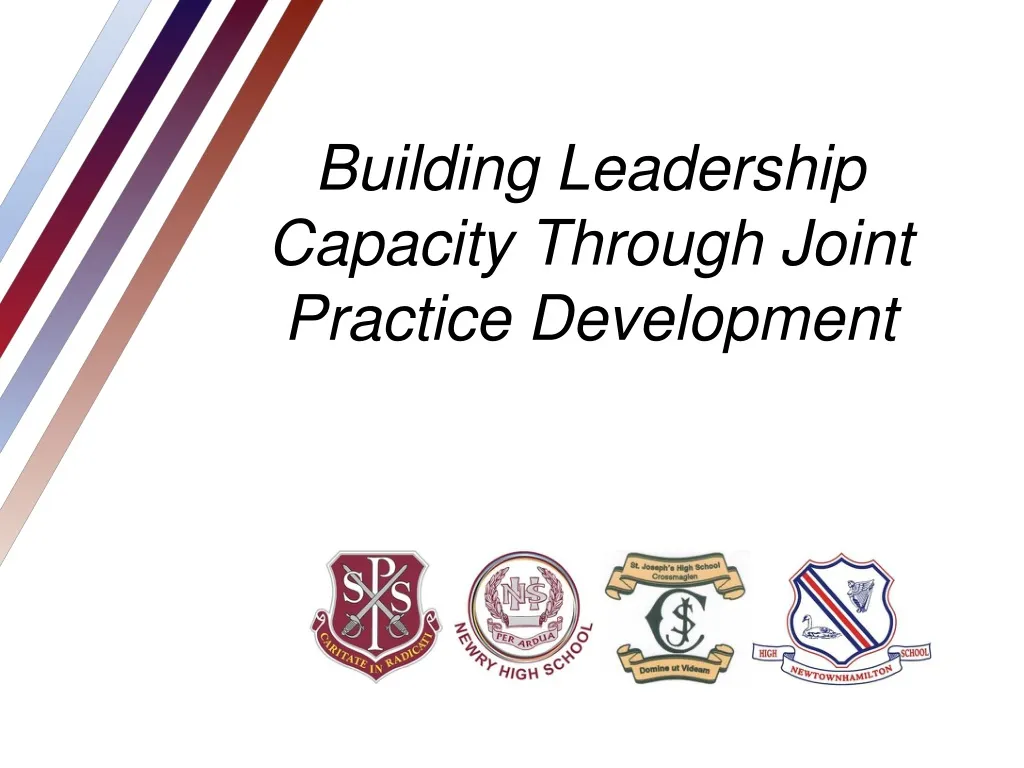 building leadership capacity through joint