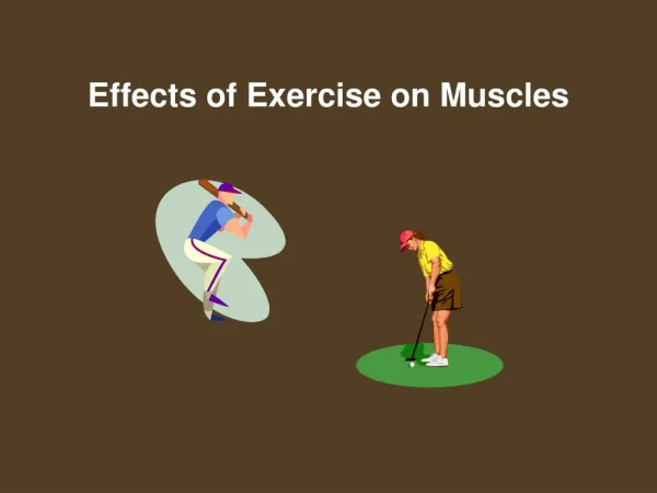 Effects of Exercise on Muscles
