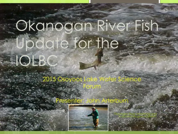 Okanogan River Fish Update for the IOLBC