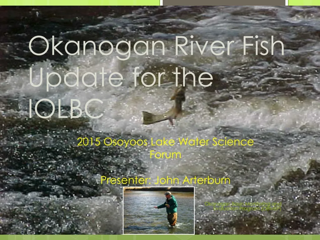 okanogan river fish update for the iolbc