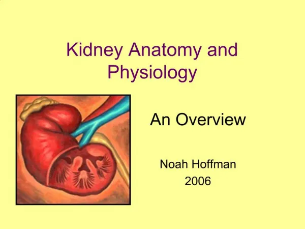 Kidney Anatomy and Physiology