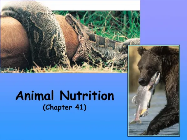 Animal Nutrition Chapter 41