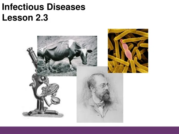 Infectious Diseases Lesson 2.3