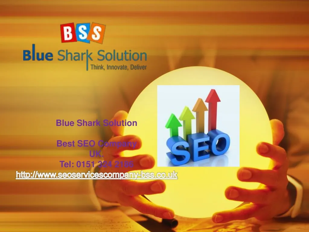 blue shark solution best seo company uk tel 0151
