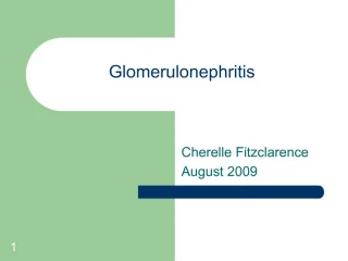 Glomerulonephritis - slide 1
