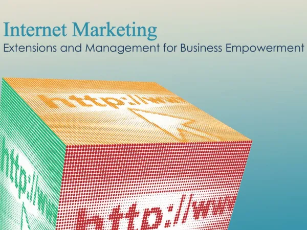 Internet Marketing - Extensions and Management for Business