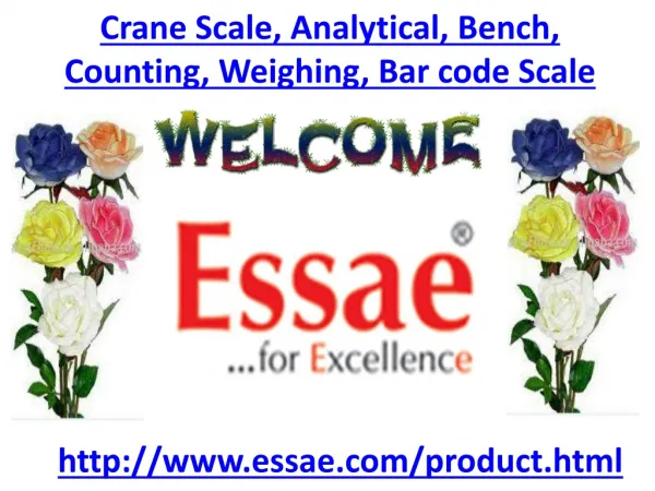 Crane Scale, Analytical Scale, Bench Scale, Counting Scale,