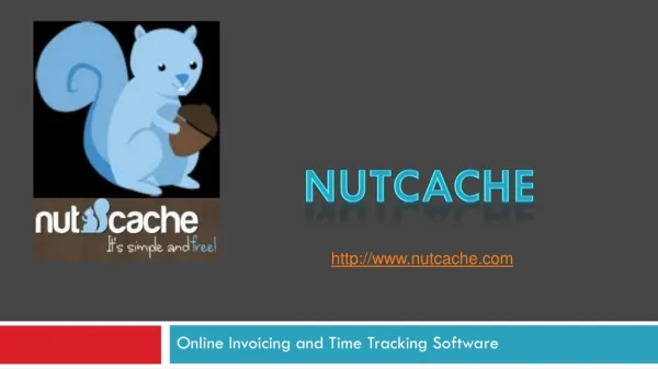 Nutcache - Best Time Reporting Software