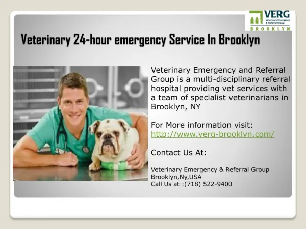 Veterinary 24-hour emergency Service In Brooklyn
