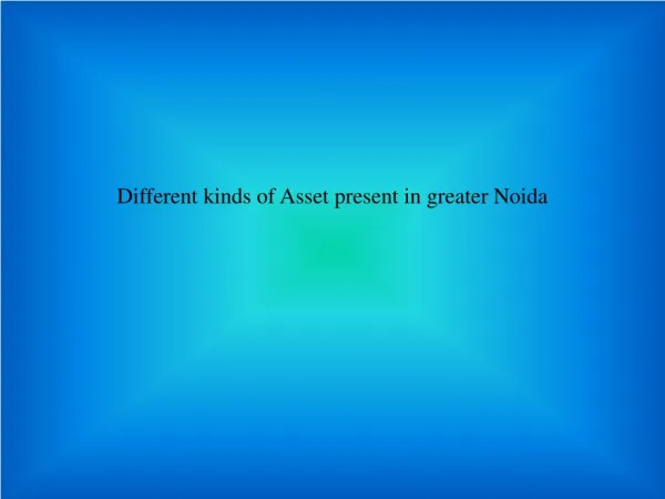 Different Kind of Asset Present in Greater Noida