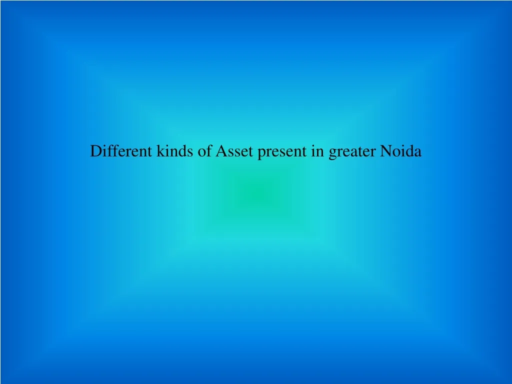 different kinds of asset present in greater noida