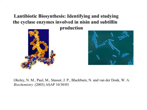 Lantibiotic Biosynthesis: Identifying and studying the cyclase enzymes involved in nisin and subtillin production