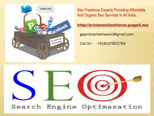 Seo Expert Services In Rajasthan , Gurgaon , Delhi , Mumbai