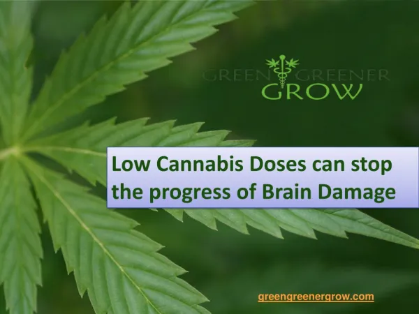 Low Cannabis Doses can stop the progress of Brain Damage