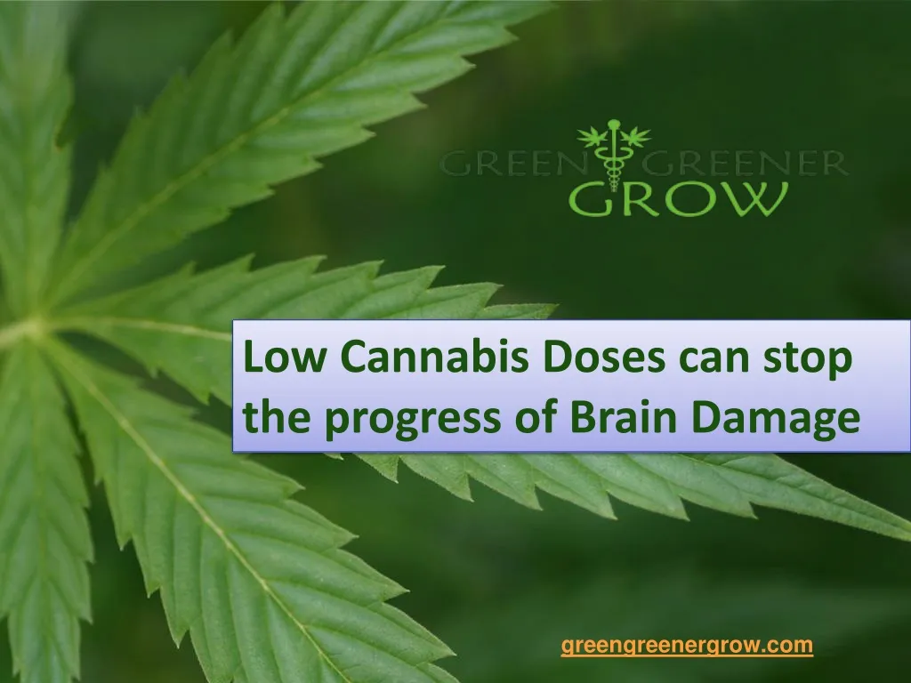 low cannabis doses can stop the progress of brain