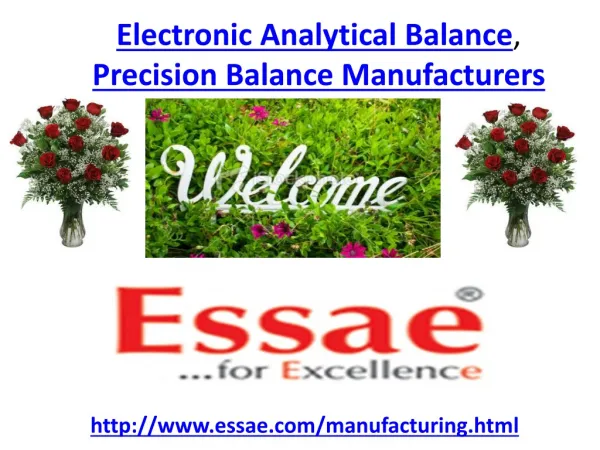 Electronic Analytical Balance, Precision Balance Manufacture