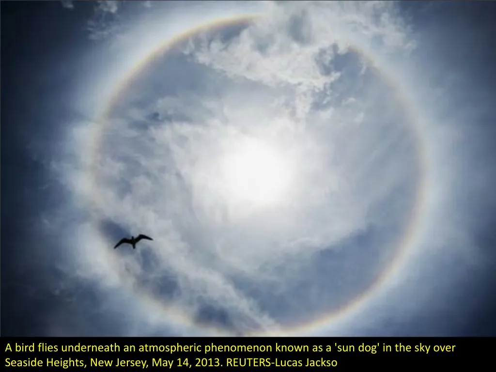 a bird flies underneath an atmospheric phenomenon