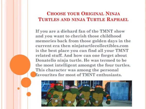 Choose your best Raphael and Donatello Ninja Turtles