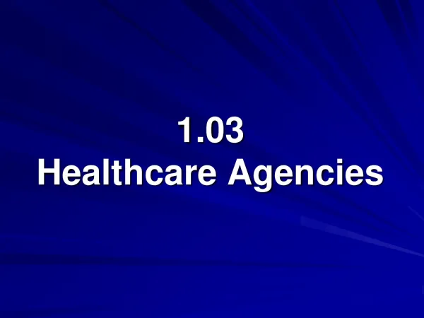 1 03 healthcare agencies