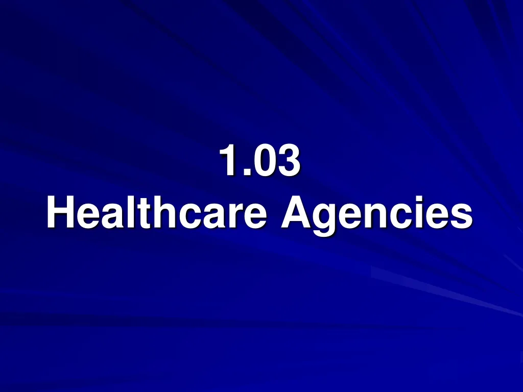 1 03 healthcare agencies