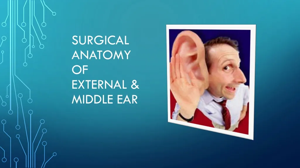 surgical anatomy of external middle ear