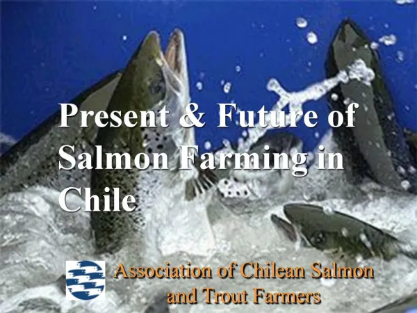 Present Future of Salmon Farming in Chile