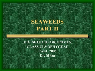 SEAWEEDS PART II - slide 1
