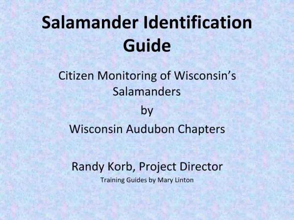 Salamander Identification Guide