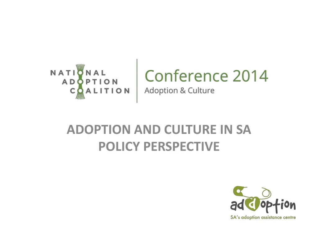 adoption and culture in sa policy perspective
