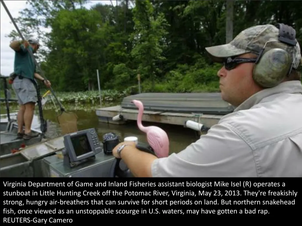 virginia department of game and inland fisheries