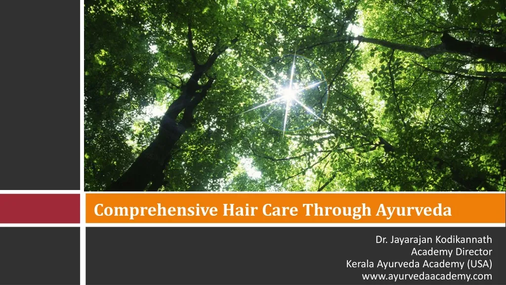 comprehensive hair care through ayurveda