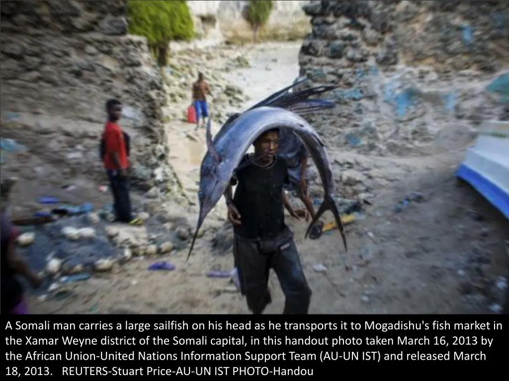 a somali man carries a large sailfish on his head