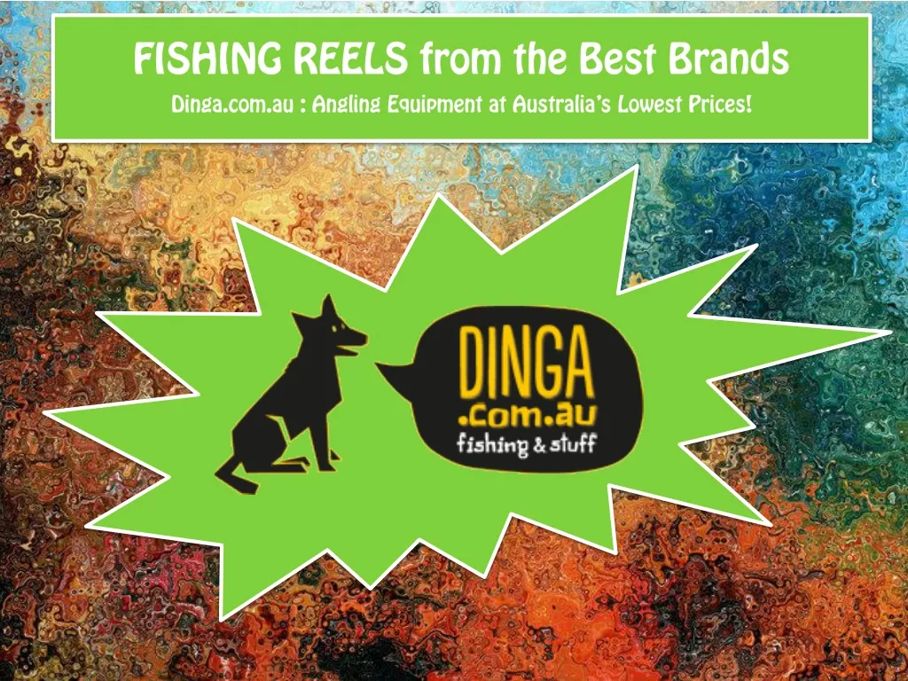 fishing reels from the best brands dinga