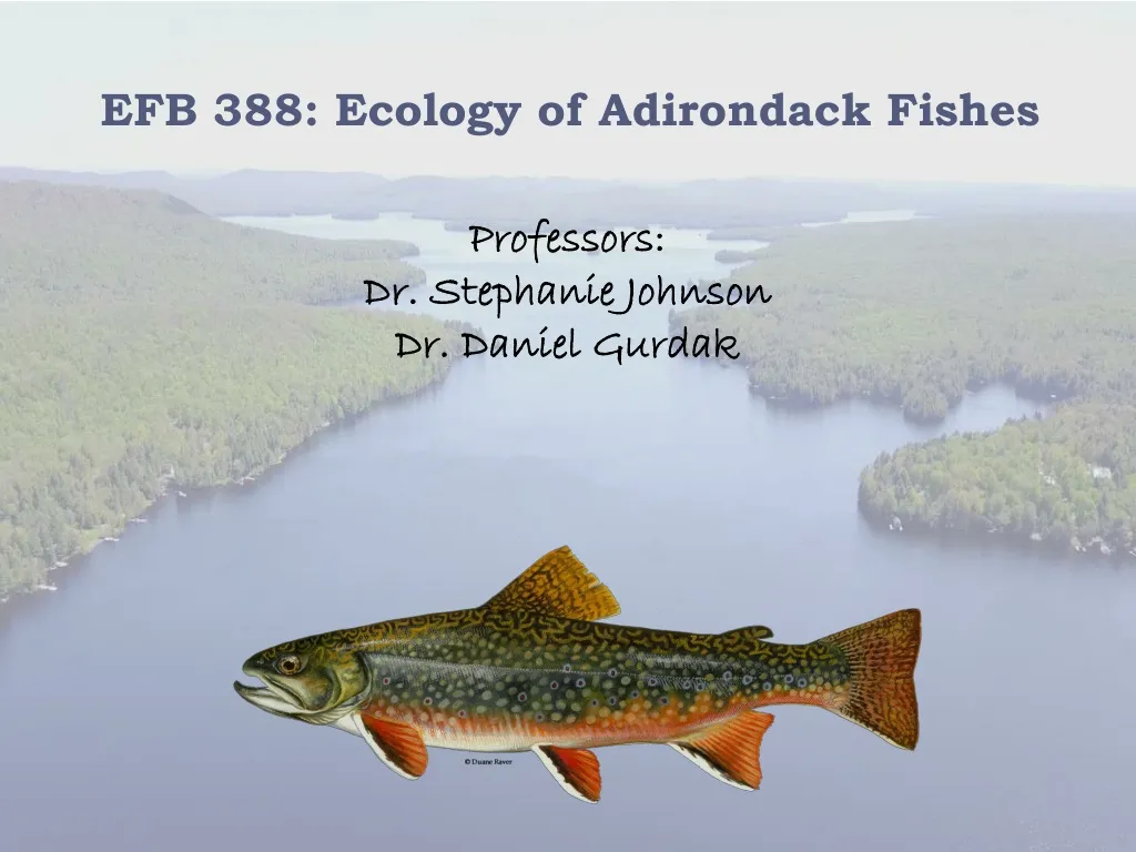 efb 388 ecology of adirondack fishes