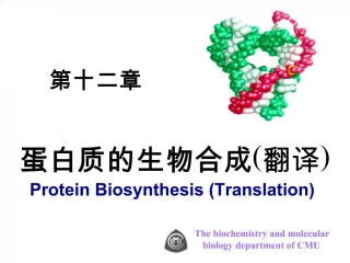 Protein Biosynthesis Translation - slide 1