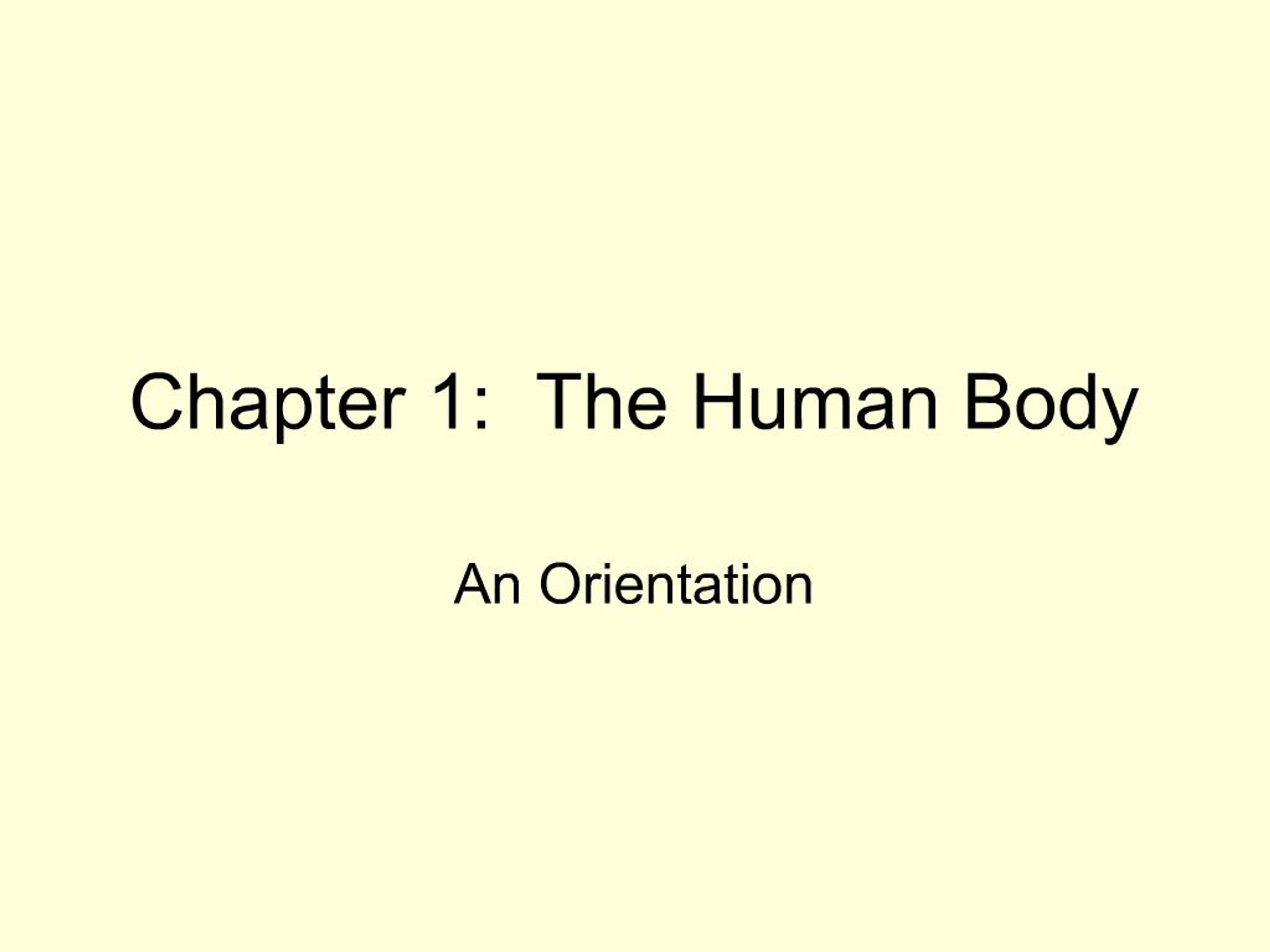 PPT - Chapter 1: The Human Body PowerPoint Presentation, free download ...