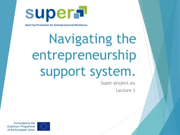 Navigating the entrepreneurship support system.