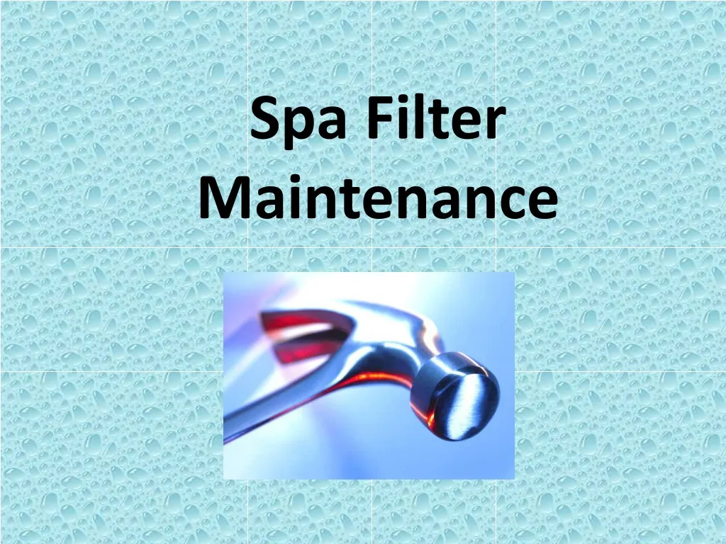 spa filter maintenance