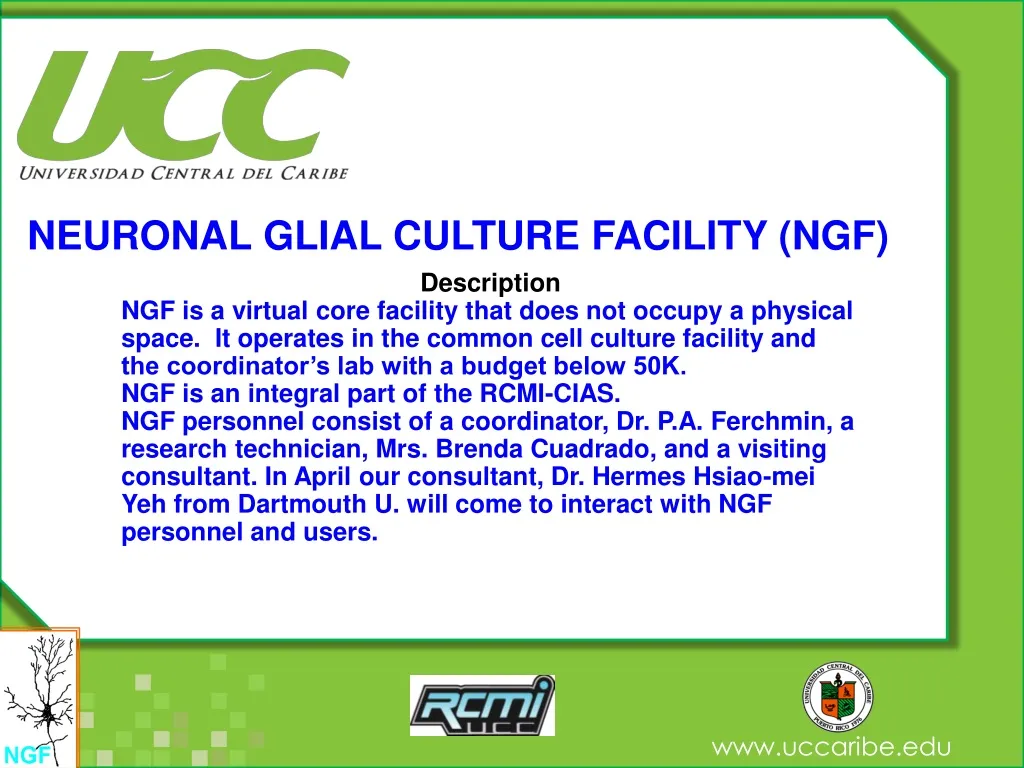 neuronal glial culture facility ngf