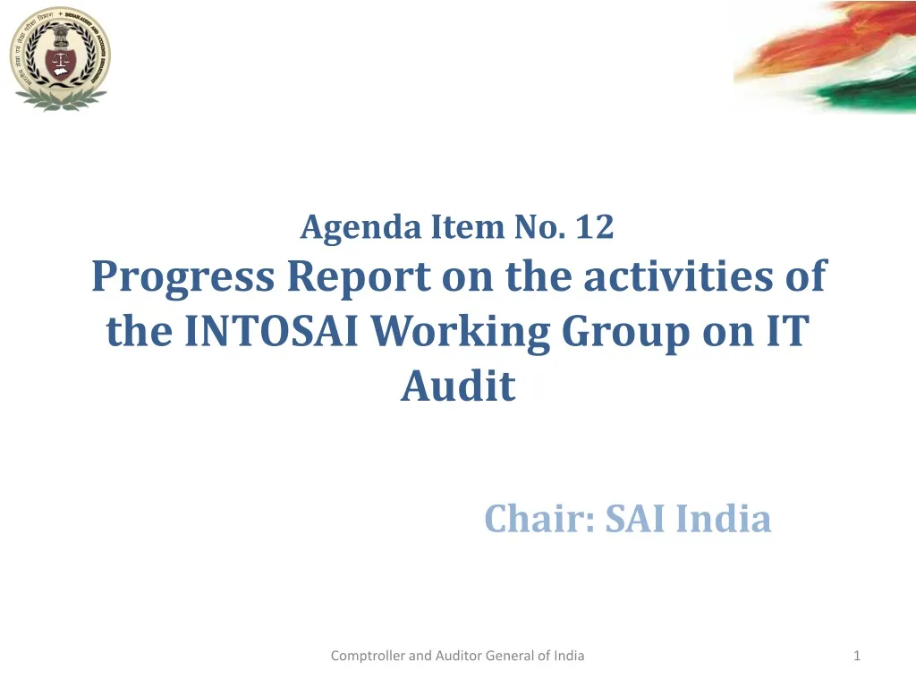 agenda item no 12 progress report on the activities of the intosai working group on it audit