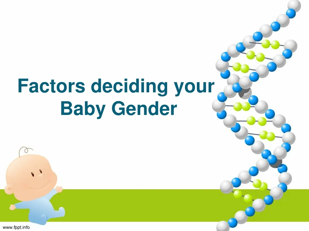 factors deciding your b aby g ender
